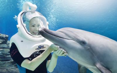 Dolphin Island, Resorts World Sentosa